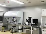 解读试管婴儿的详细流程，看完便知哪个过程女性受罪