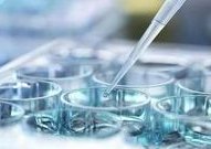 婴儿发育口诀一月睡二月哭三月攒肚都有哪些含义？